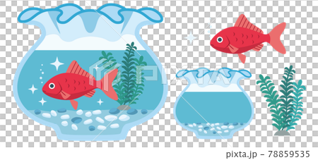 金魚（和金）と金魚鉢のイラスト素材 78859535
