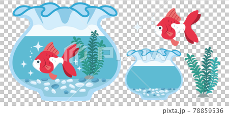 金魚（琉金）和魚缸的插圖素材 78859536