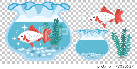 金魚（小霸王）和魚缸的插畫素材 78859537