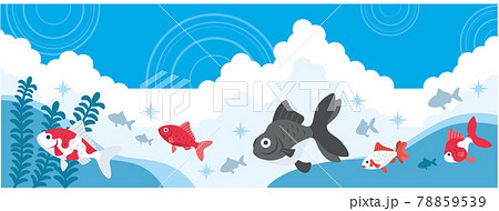 いろいろな金魚と空のイラスト素材 78859539