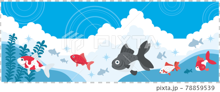 いろいろな金魚と空のイラスト素材 78859539