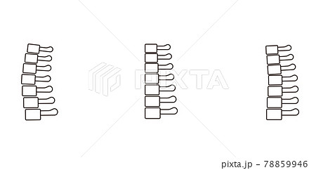 ストレートネック・頸椎後湾症・正常な首の骨のイメージ 78859946