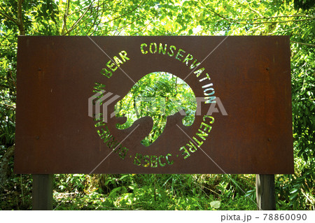 クマ 熊 くま 78860090