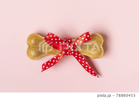 bone for dogs with red bow isolated on pink background Top view Flat lay Delicious treat for your beloved pet Food for animals concept bone for dogs with red bow isolated on pink background Top view Flat lay Delicious treat for your beloved pet Food for animals concept 78860453