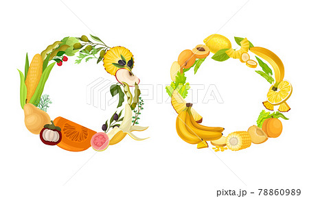 Fruit and Vegetable Wreath with Fresh and Ripe Garden Crops Vector Set 78860989