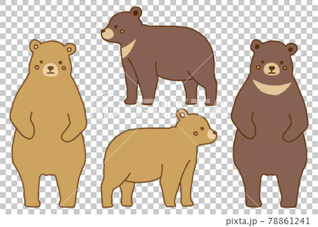 かわいい手描きのクマのイラストセットのイラスト素材