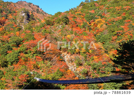 五家荘の紅葉 五家荘の紅葉 78861639