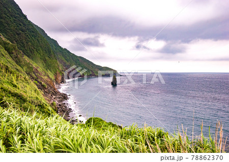 東京都大島町にある筆の穂先の様な形状の岩の筆島の風景 78862370