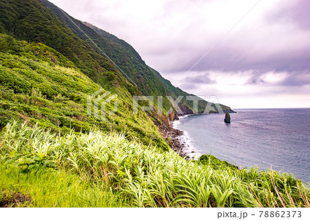 東京都大島町にある筆の穂先の様な形状の岩の筆島の風景 78862373
