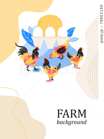 Sample brochure. Agricultural background. Chickens and rooster. Poultry keeping. 78863189