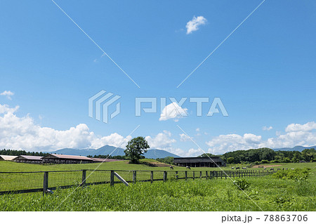 【小岩井農場】岩手県雫石町 広々とした青空と小岩井農場 【小岩井農場】岩手県雫石町 広々とした青空と小岩井農場 78863706