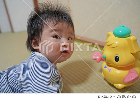 カメラ目線の赤ちゃんと起き上がりこぼし 78863735