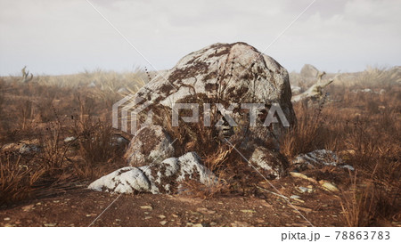 dry grass and rocks landscape 78863783
