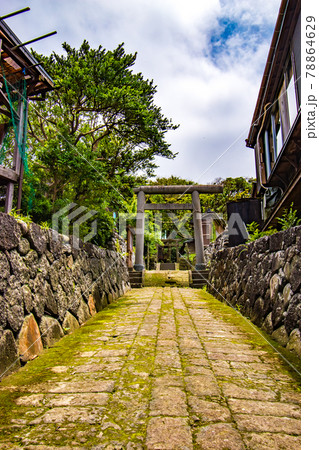 伊豆大島の東京都大島町岡田にある源為朝が御祭神の八幡神社の参道風景 伊豆大島の東京都大島町岡田にある源為朝が御祭神の八幡神社の参道風景 78864629