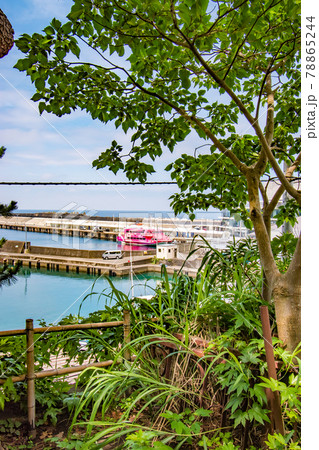 伊豆大島の東京都大島町岡田にある安徳天皇が御祭神という説もある龍王神社の参道風景 78865244