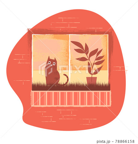 A lonely sad cat in the window 78866158