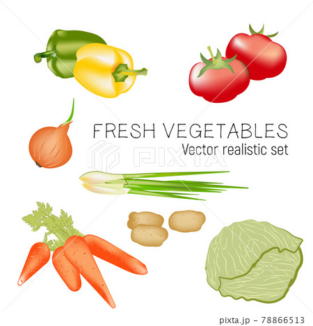 Set of fresh vegetables Set of fresh vegetables 78866513