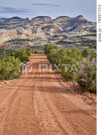 dirt backcountry road in the Dinosaur National Monument, CO dirt backcountry road in the Dinosaur National Monument, CO 78867353