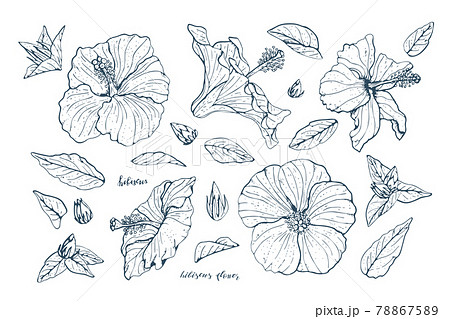 花❁ 春日里的美与好🎐 Weibo: @PursueBeauty