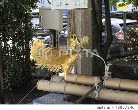 富岡八幡宮　東京都江東区 78867846