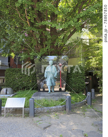 富岡八幡宮　東京都江東区 78867850