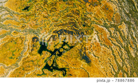 Miory District, Vitebsk Region, Belarus. The Yelnya Swamp. Upland And Transitional Bogs With Numerous Lakes. Elevated Aerial View Of Yelnya Nature Reserve Landscape. Famous Natural Landmark Miory District, Vitebsk Region, Belarus. The Yelnya Swamp. Upland And Transitional Bogs With Numerous Lakes. Elevated Aerial View Of Yelnya Nature Reserve Landscape. Famous Natural Landmark 78867886