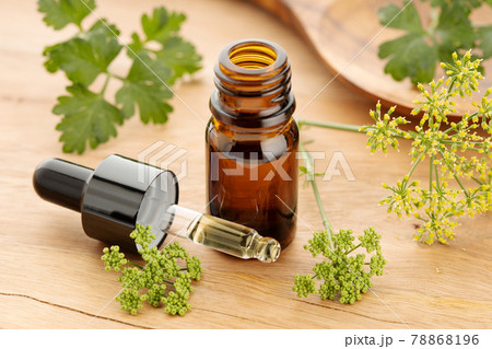 Parsley essential oil and fresh parsley flowers and leaves on wooden table 78868196