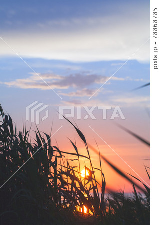 Colorful sunset sky over Gulf of Finland 78868785