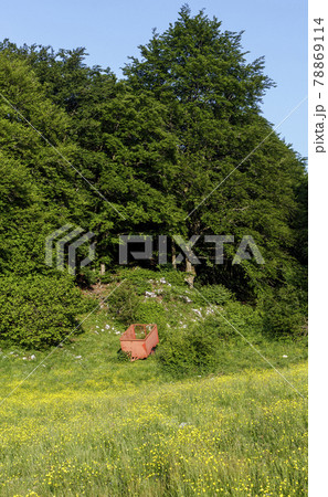 Red wagon for transporting materials Red wagon for transporting materials 78869114