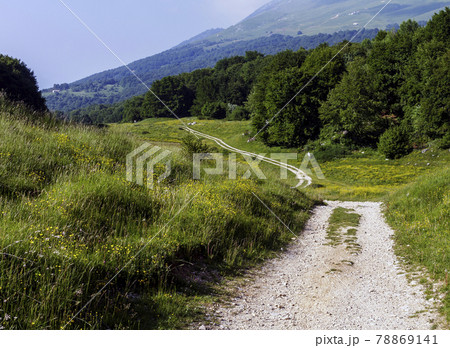 Mountain path at the Due Pozze 78869141