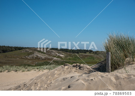 Den Helder, the Netherlands, May 30, 2021. Dunes near the seaside of Den Gelder, the Netherlands. Den Helder, the Netherlands, May 30, 2021. Dunes near the seaside of Den Gelder, the Netherlands. 78869503