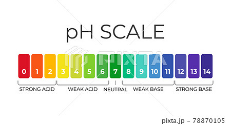 pH value scale chart for acid-alkaline solution. Acid-base balance infographic isolated on white background. Indicator for concentration of hydrogen ion in solution. Vector illustration 78870105