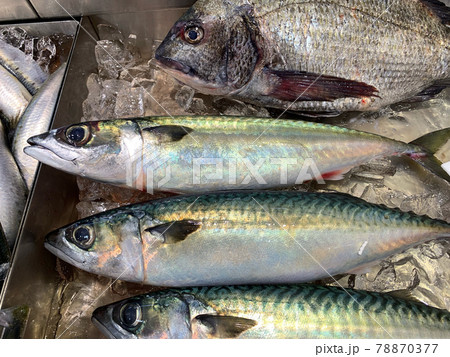 日本でサバは青魚の中で最もよく食べられている魚。健康成分として鯖に含まれるDHA・EPAに注目! 78870377