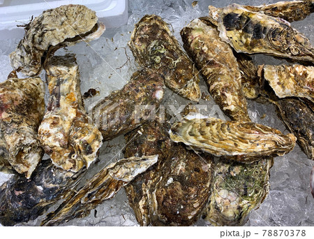 かき　牡蠣　北海道　魚　魚介類　魚屋　新鮮  78870378
