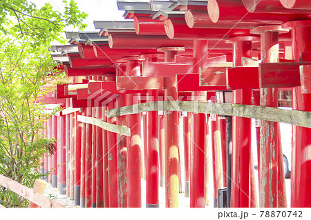 鳥居が続く神社 青山御幣稲荷神社 (新潟市西区) 鳥居が続く神社 青山御幣稲荷神社 (新潟市西区) 78870742