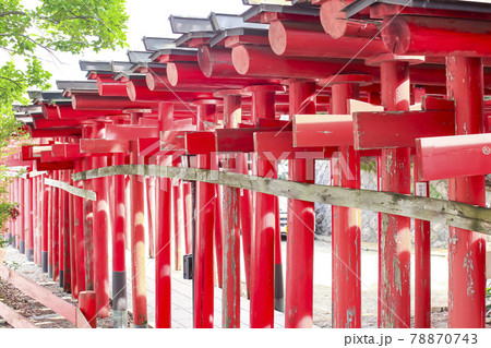 鳥居が続く神社 青山御幣稲荷神社 (新潟市西区) 鳥居が続く神社 青山御幣稲荷神社 (新潟市西区) 78870743