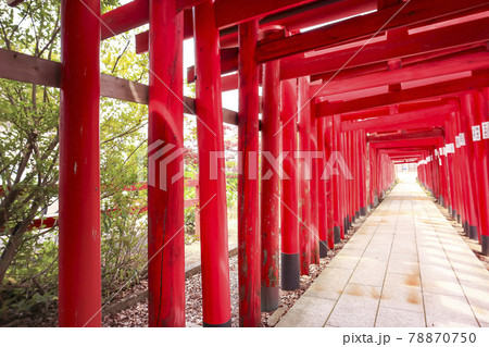 鳥居が続く神社　青山御幣稲荷神社 (新潟市西区) 78870750