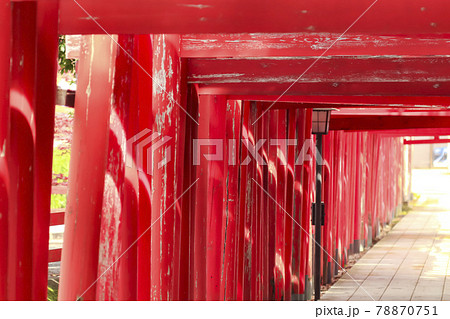 鳥居が続く神社 青山御幣稲荷神社 (新潟市西区) 鳥居が続く神社 青山御幣稲荷神社 (新潟市西区) 78870751