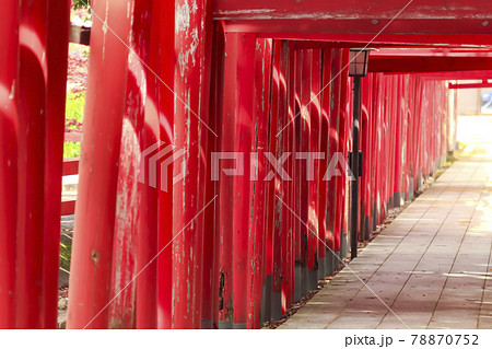 鳥居が続く神社　青山御幣稲荷神社 (新潟市西区) 78870752
