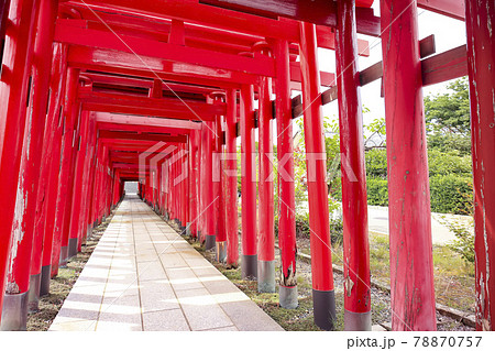 鳥居が続く神社　青山御幣稲荷神社 (新潟市西区) 78870757