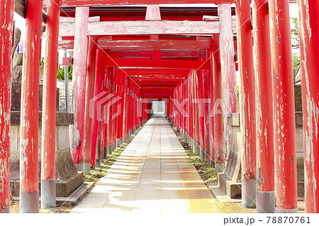 鳥居が続く神社　青山御幣稲荷神社 (新潟市西区) 78870761