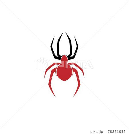 Spider logo icon design concept template illustration 78871055