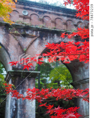 真っ赤な紅葉と水路閣 78873239