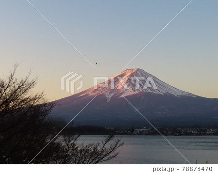 静かな河口湖畔からの富士山の朝焼け 78873470