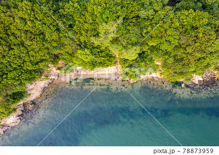 【自然風景】森林に囲まれた青い海と砂浜　ドローン　空撮 78873959
