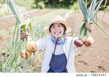 畑仕事をする若い女性 畑仕事をする若い女性 78874447
