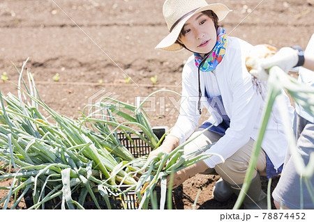 畑仕事をする若い女性 78874452