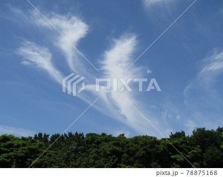 梅雨の晴れ間青空と白い雲 梅雨の晴れ間青空と白い雲 78875168
