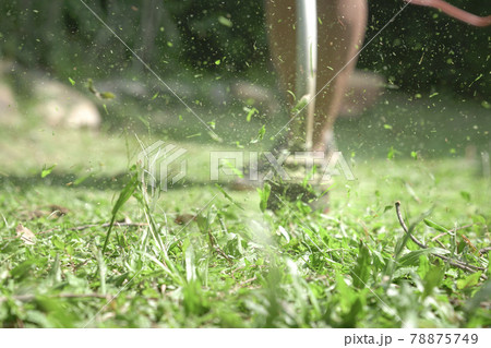 Grass cutting. Man using grass trimmer to mow lawn. 78875749