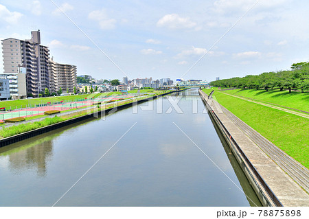 新荒川大橋／新河岸川より赤羽桜堤緑地方面を望む(東京都北区)【2021.6】 78875898